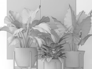 plants collection pot 3D Model