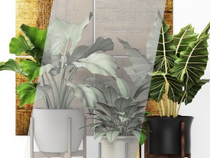 plants collection pot 3D 모델