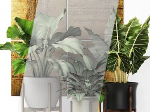 plants collection pot 3D Model