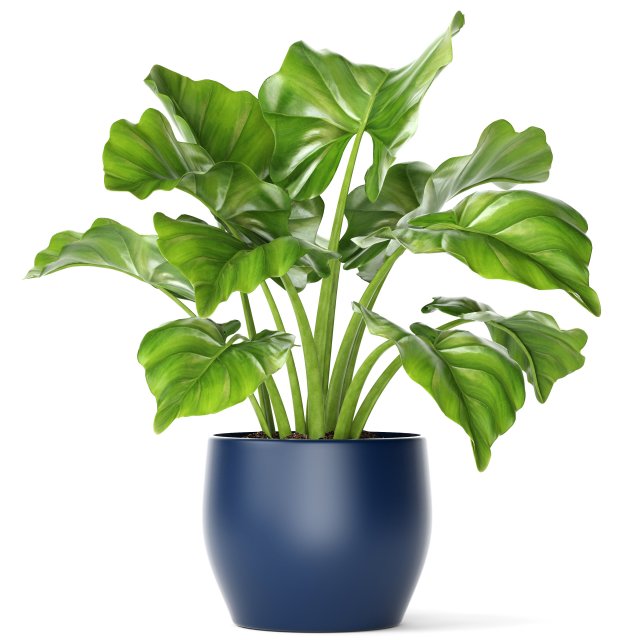 plant pot Model 3D .c4d .max .obj .3ds .fbx .stl .blend 