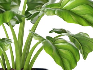 plant pot Model 3D