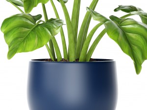 plant pot Model 3D