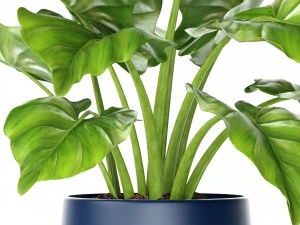plant pot 3D Model