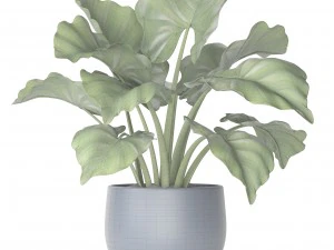 plant pot 3D Model