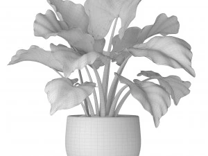 plant pot 3D Model