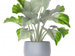 plant pot 3D Model