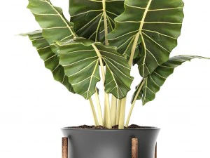 pot tanaman Model 3D