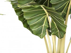 pot tanaman Model 3D