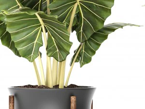 pot tanaman Model 3D