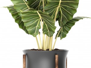 plant pot 3D 모델