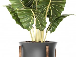 pot tanaman Model 3D