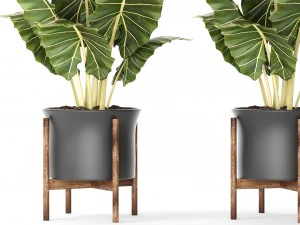 pot tanaman Model 3D