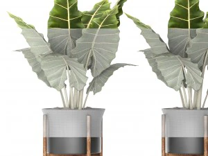 pot tanaman Model 3D