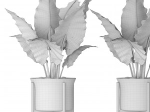 plant pot 3D 모델