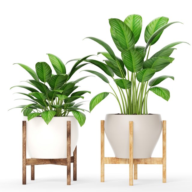 plants collection 3Dモデル .c4d .max .obj .3ds .fbx .stl .blend 