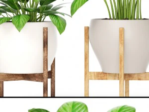 plants collection 3D Model