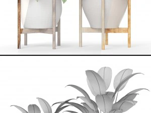plants collection 3D Model