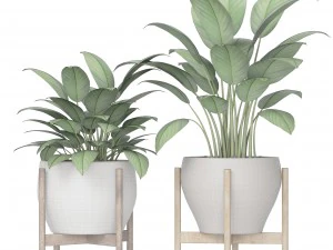 plants collection 3D Model