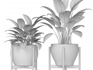 plants collection 3Dモデル