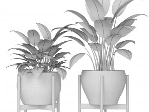 plants collection 3D Model