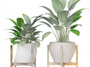 plants collection 3D Model
