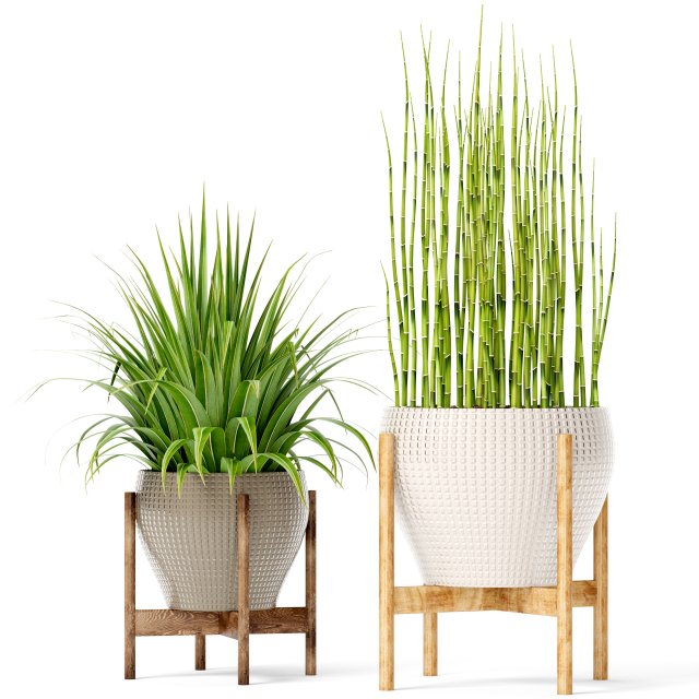 plants collection Modello 3D .c4d .max .obj .3ds .fbx .stl .blend