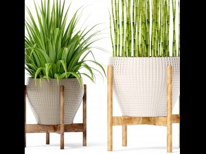plants collection Modello 3D