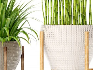 plants collection 3D Model