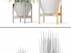 plants collection Modello 3D