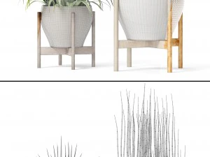plants collection 3D Model