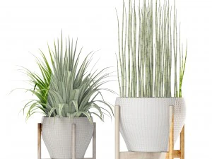 plants collection 3D Model
