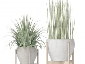 plants collection 3D Model