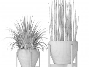 plants collection Modello 3D