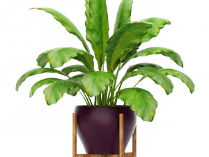 plants collection 3D Model
