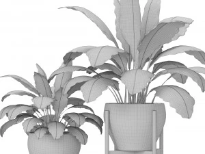 plants collection 3D Model