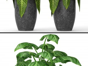 plants collection 3D Model
