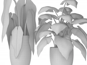 plants collection 3D Model