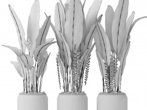 heliconia 3D Модель