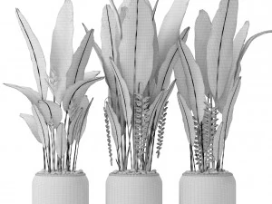 heliconia 3D Model