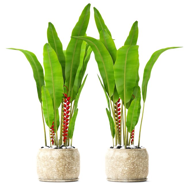 3D-Lampe #Heliconia