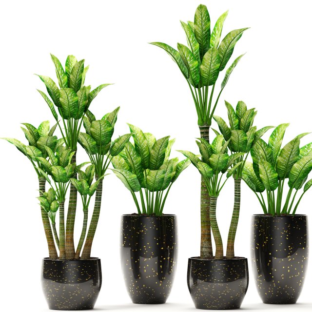 plants collection pot Modelo 3D .c4d .max .obj .3ds .fbx .stl .blend
