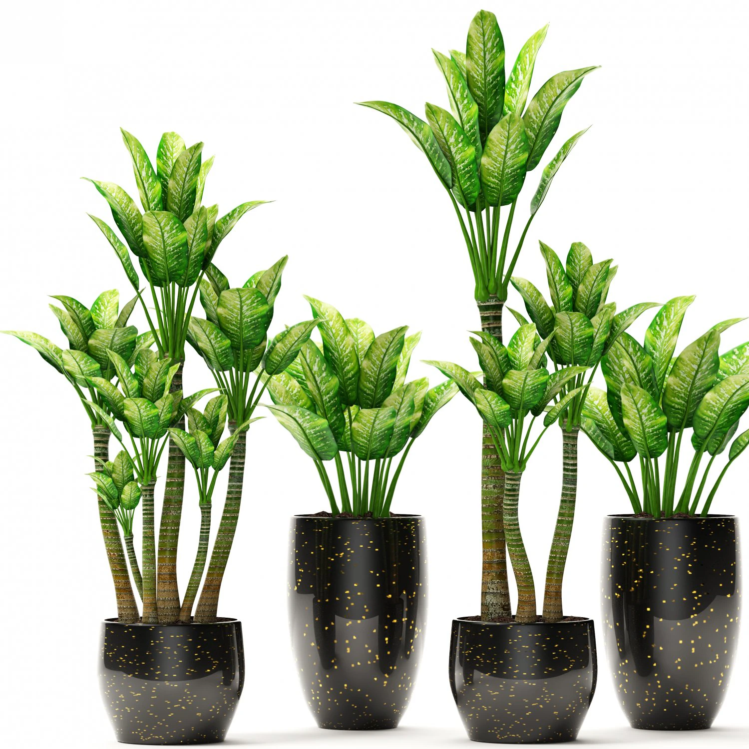 plants collection pot 3D Model .c4d .max .obj .3ds .fbx .stl .blend