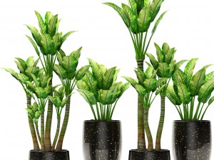 plants collection pot 3D Model