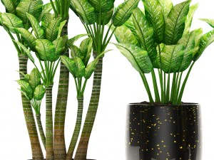 plants collection pot 3D Model