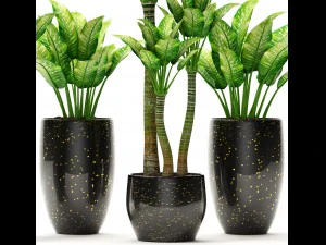 plants collection pot 3D Model