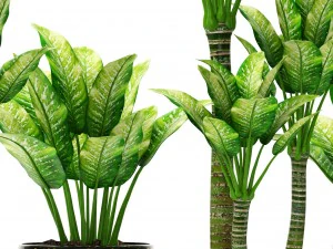 plants collection pot 3D Model