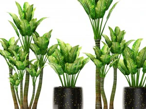 plants collection pot 3D Model