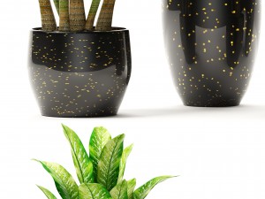 plants collection pot Modelo 3D