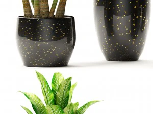 plants collection pot 3D Model