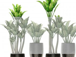 plants collection pot 3D Model